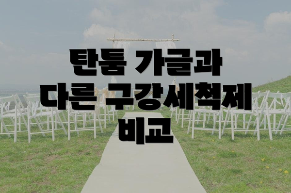 탄툼 가글과 다른 구강세척제 비교