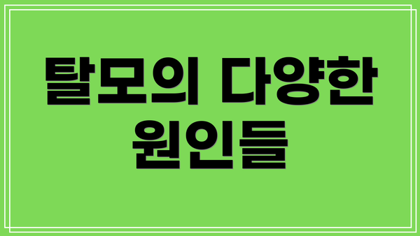 탈모의 다양한 원인들