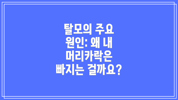 탈모의 주요 원인: 왜 내 머리카락은 빠지는 걸까요?