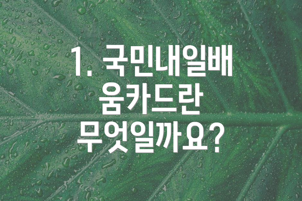 1. 국민내일배움카드란 무엇일까요?