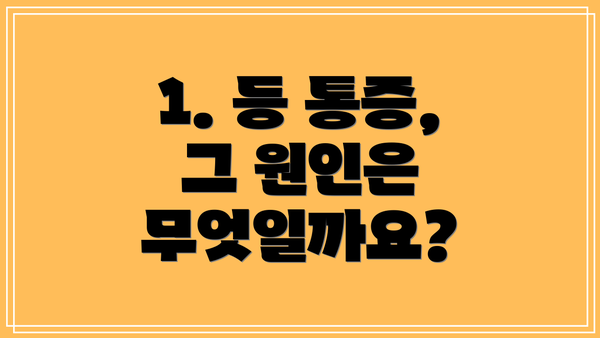 1. 등 통증, 그 원인은 무엇일까요?