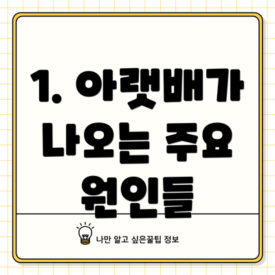 1. 아랫배가 나오는 주요 원인들