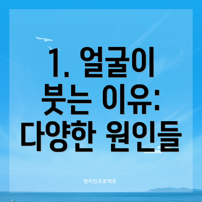 1. 얼굴이 붓는 이유: 다양한 원인들