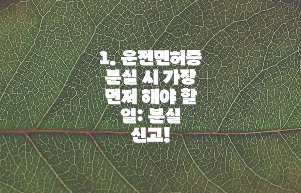 1. 운전면허증 분실 시 가장 먼저 해야 할 일: 분실 신고!