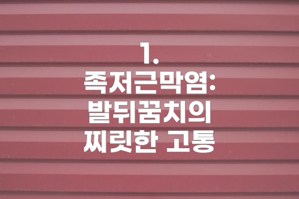 1. 족저근막염: 발뒤꿈치의 찌릿한 고통