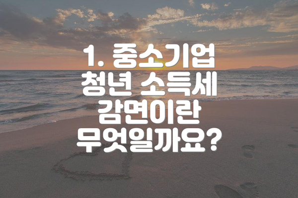 1. 중소기업 청년 소득세 감면이란 무엇일까요?
