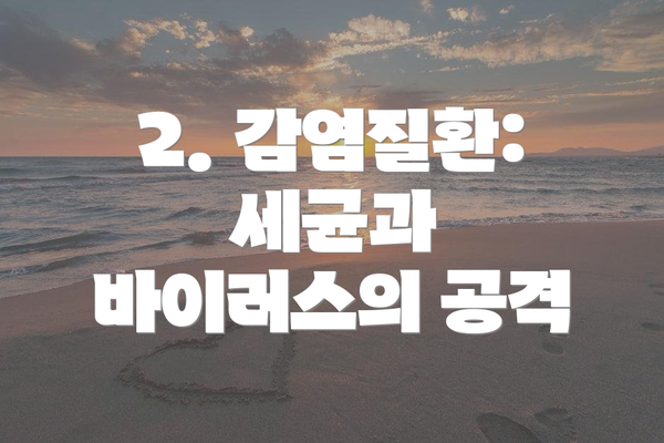 2. 감염질환: 세균과 바이러스의 공격