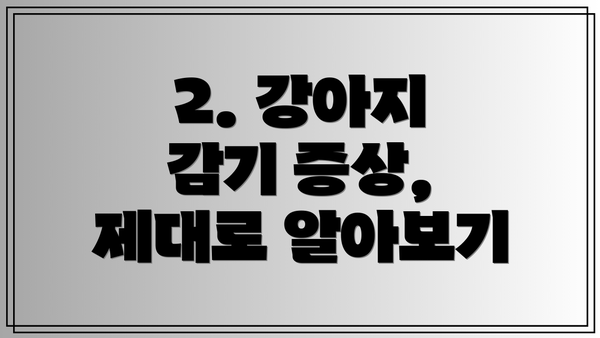 2. 강아지 감기 증상, 제대로 알아보기