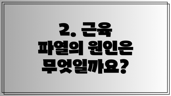 2. 근육 파열의 원인은 무엇일까요?