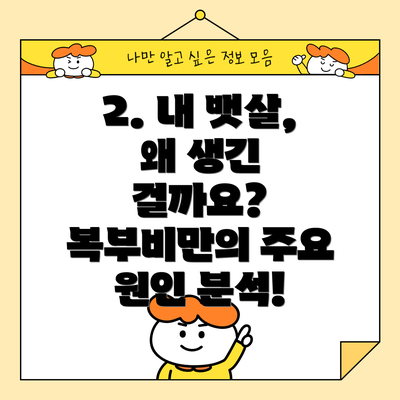 2. 내 뱃살, 왜 생긴 걸까요? 복부비만의 주요 원인 분석!