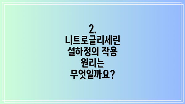 2. 니트로글리세린 설하정의 작용 원리는 무엇일까요?