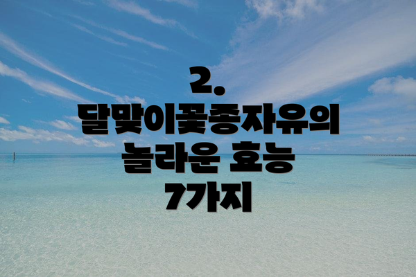 2. 달맞이꽃종자유의 놀라운 효능 7가지