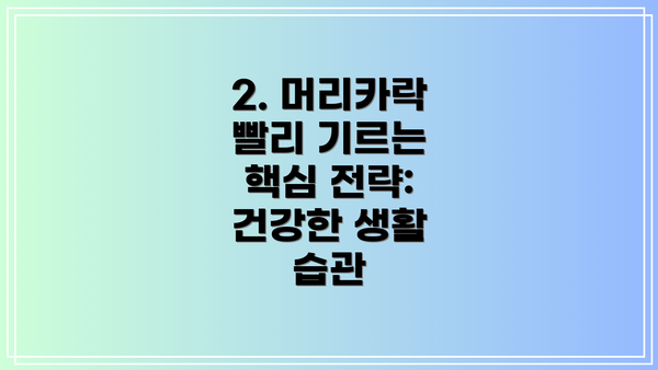 2. 머리카락 빨리 기르는 핵심 전략: 건강한 생활 습관