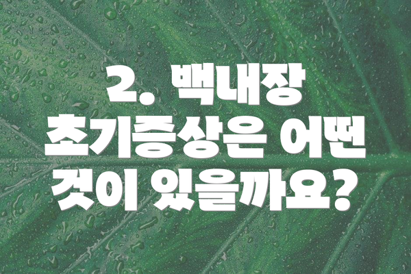 2. 백내장 초기증상은 어떤 것이 있을까요?