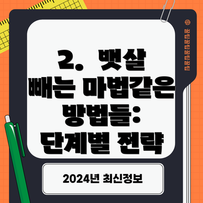 2.  뱃살 빼는 마법같은 방법들:  단계별 전략