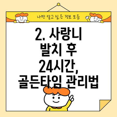 2. 사랑니 발치 후 24시간, 골든타임 관리법