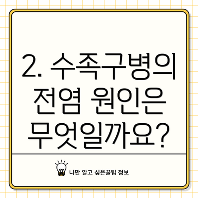 2. 수족구병의 전염 원인은 무엇일까요?