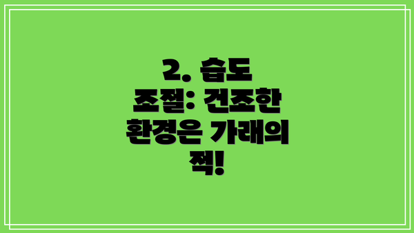 2. 습도 조절: 건조한 환경은 가래의 적!