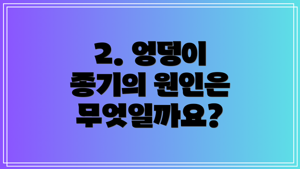 2. 엉덩이 종기의 원인은 무엇일까요?