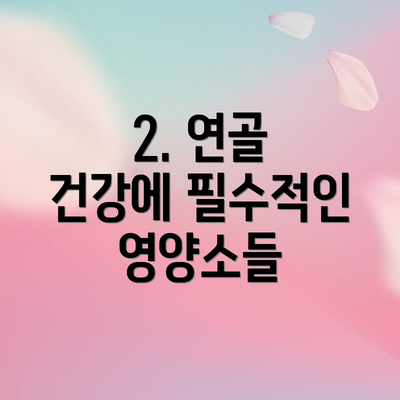 2. 연골 건강에 필수적인 영양소들