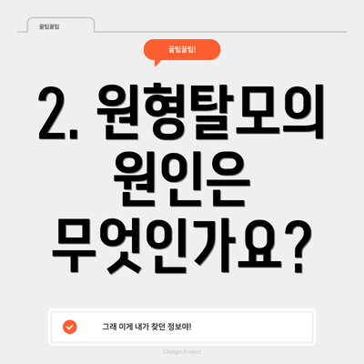2. 원형탈모의 원인은 무엇인가요?