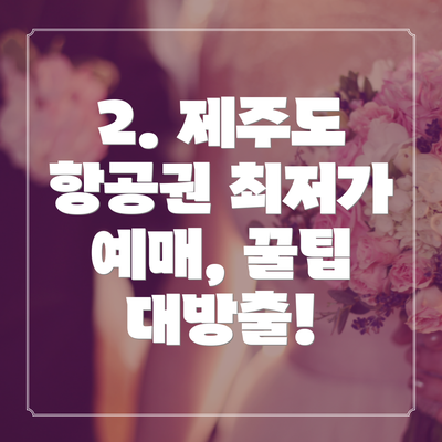 2. 제주도 항공권 최저가 예매, 꿀팁 대방출!