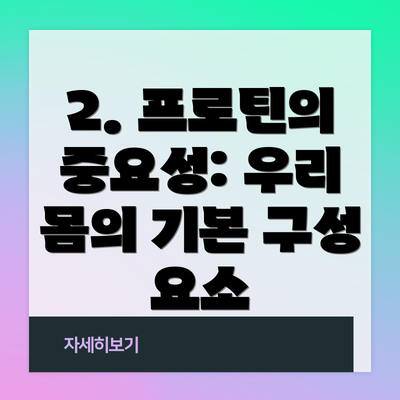 2. 프로틴의 중요성: 우리 몸의 기본 구성 요소
