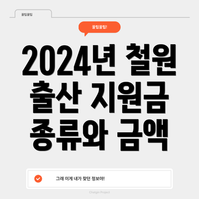2024년 철원 출산 지원금이란 무엇일까요?