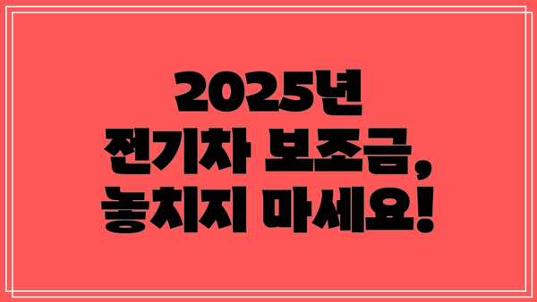 2025년 전기차 보조금, 놓치지 마세요!