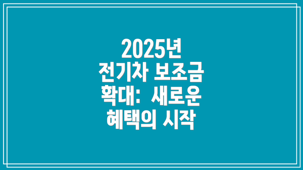 2025년 전기차 보조금 확대: 새로운 혜택의 시작