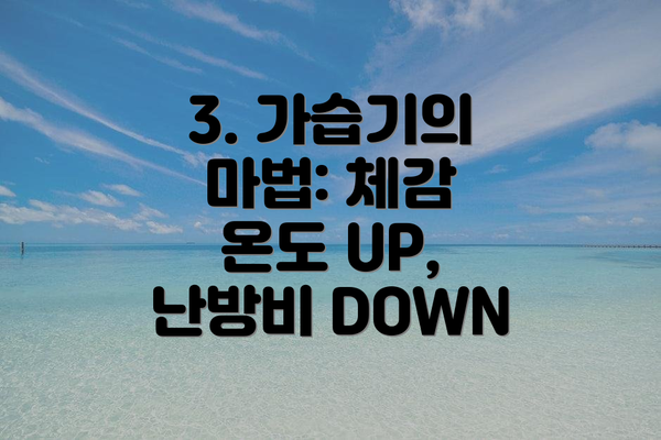 3. 가습기의 마법: 체감 온도 UP, 난방비 DOWN