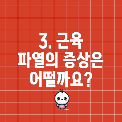 3. 근육 파열의 증상은 어떨까요?