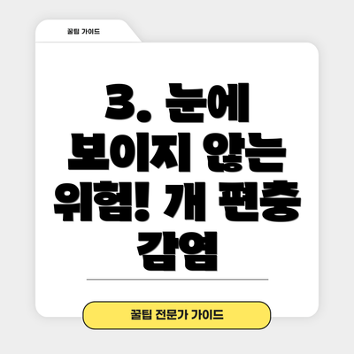 3. 눈에 보이지 않는 위험! 개 편충 감염
