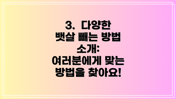 3.  다양한 뱃살 빼는 방법 소개: 여러분에게 맞는 방법을 찾아요!
