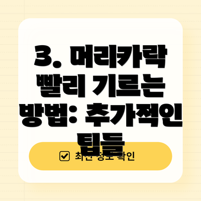 3. 머리카락 빨리 기르는 방법: 추가적인 팁들