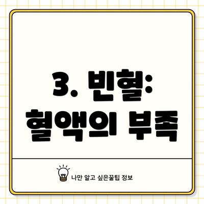 3. 빈혈: 혈액의 부족