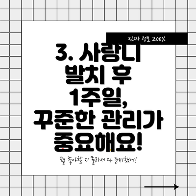 3. 사랑니 발치 후 1주일, 꾸준한 관리가 중요해요!