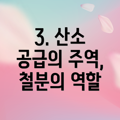 3. 산소 공급의 주역, 철분의 역할