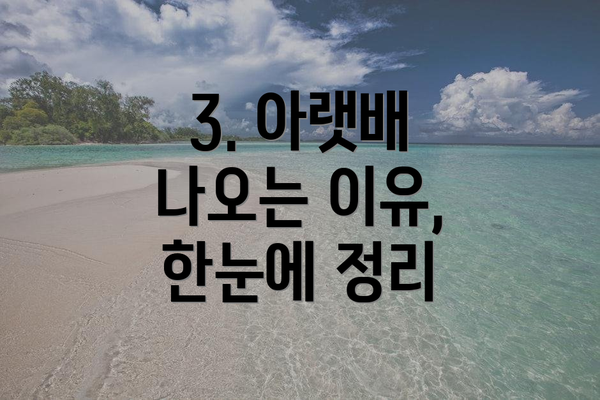 3. 아랫배 나오는 이유, 한눈에 정리