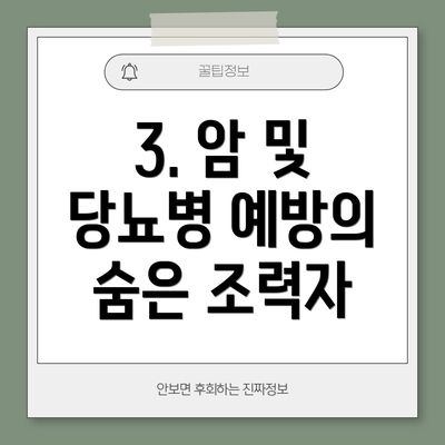 3. 암 및 당뇨병 예방의 숨은 조력자