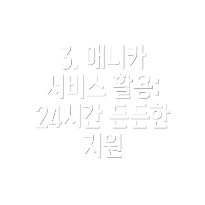 3. 애니카 서비스 활용: 24시간 든든한 지원
