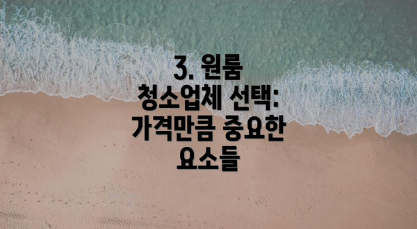 3. 원룸 청소업체 선택: 가격만큼 중요한 요소들