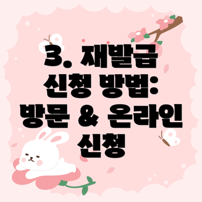 3. 재발급 신청 방법: 방문 & 온라인 신청