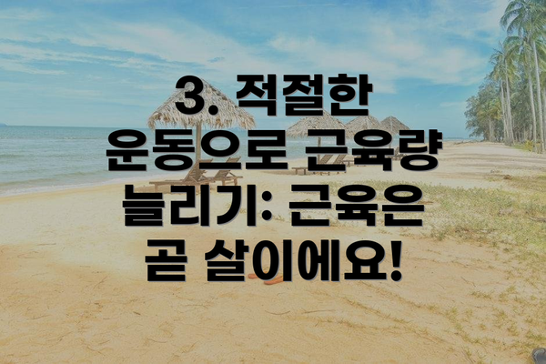 3. 적절한 운동으로 근육량 늘리기: 근육은 곧 살이에요!