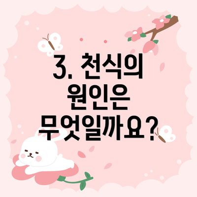 3. 천식의 원인은 무엇일까요?