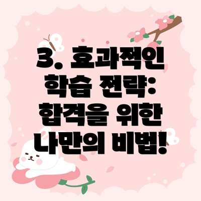 3. 효과적인 학습 전략: 합격을 위한 나만의 비법!
