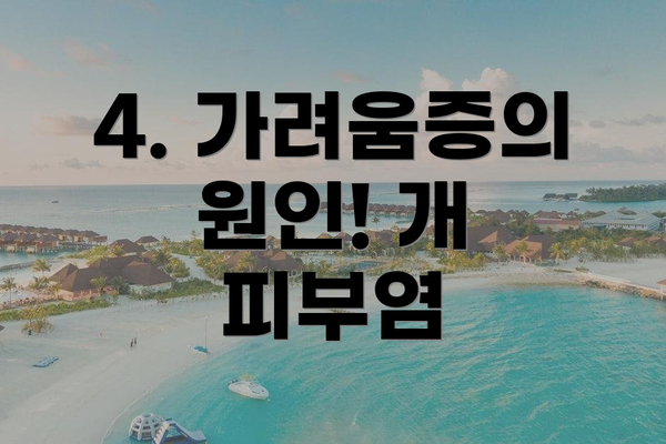 4. 가려움증의 원인! 개 피부염