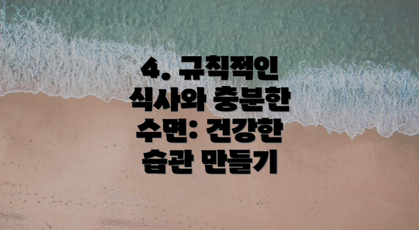 4. 규칙적인 식사와 충분한 수면: 건강한 습관 만들기