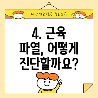 4. 근육 파열, 어떻게 진단할까요?