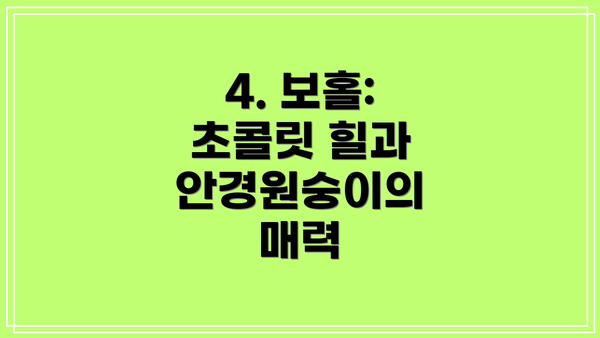 4. 보홀: 초콜릿 힐과 안경원숭이의 매력